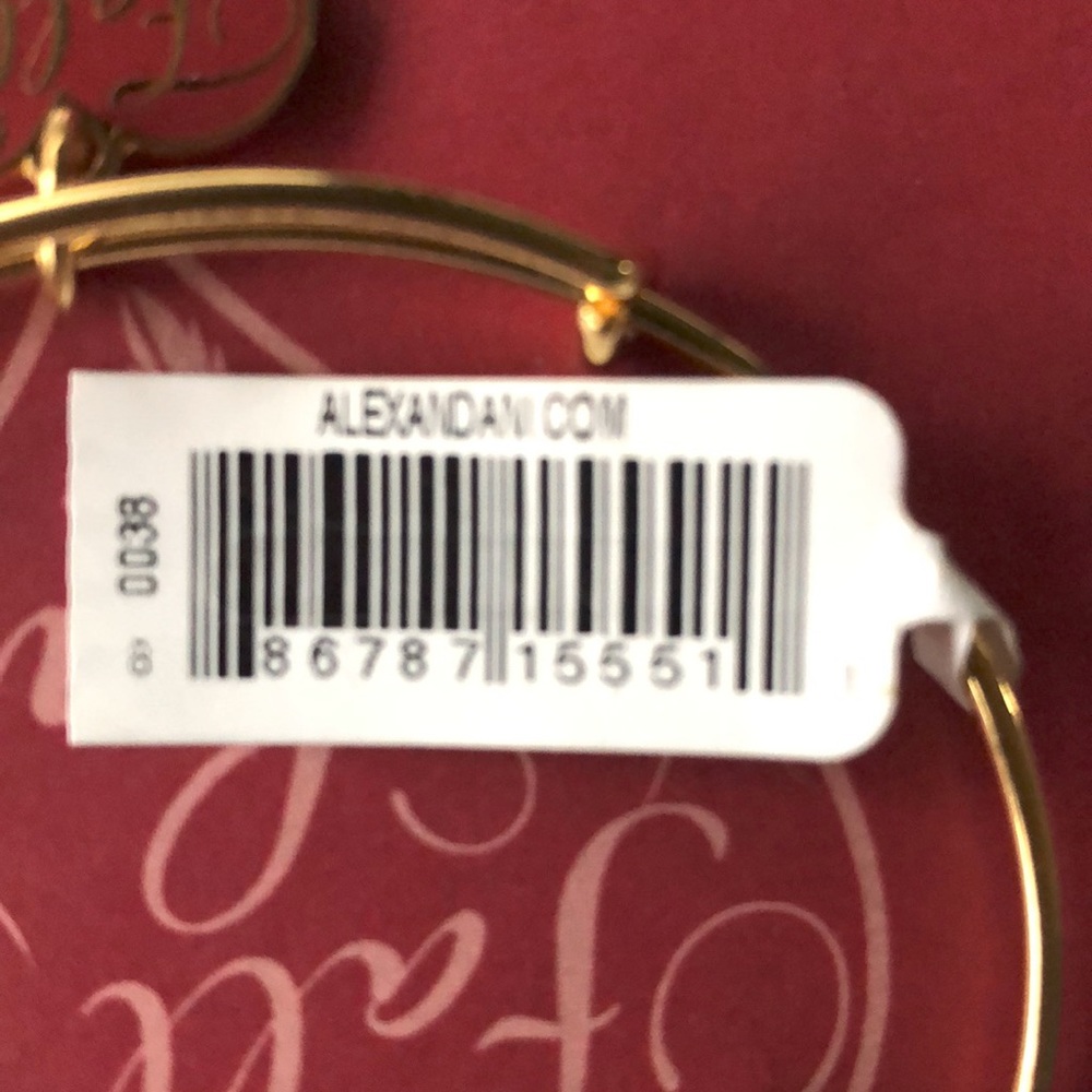 Alex and Ani "Fall In Love" Bracelet - Picture 4 of 4